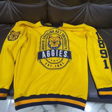 NC A&T Terry