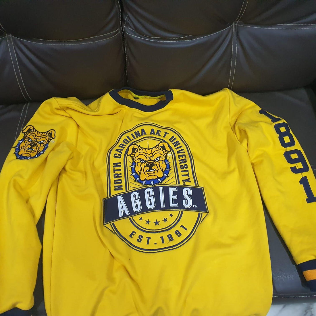 NC A&T Terry