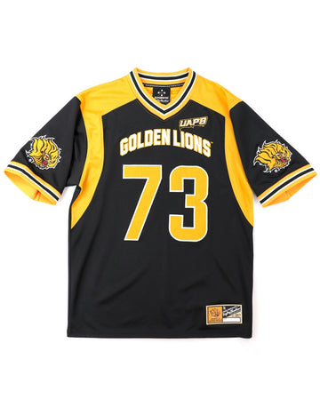 UAPB Football Jersey
